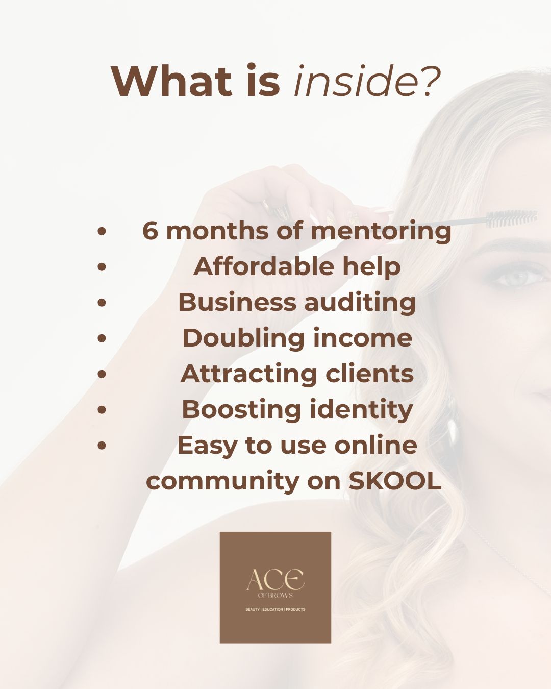 THE ACE STRATEGY 6 MONTH PROGRAM