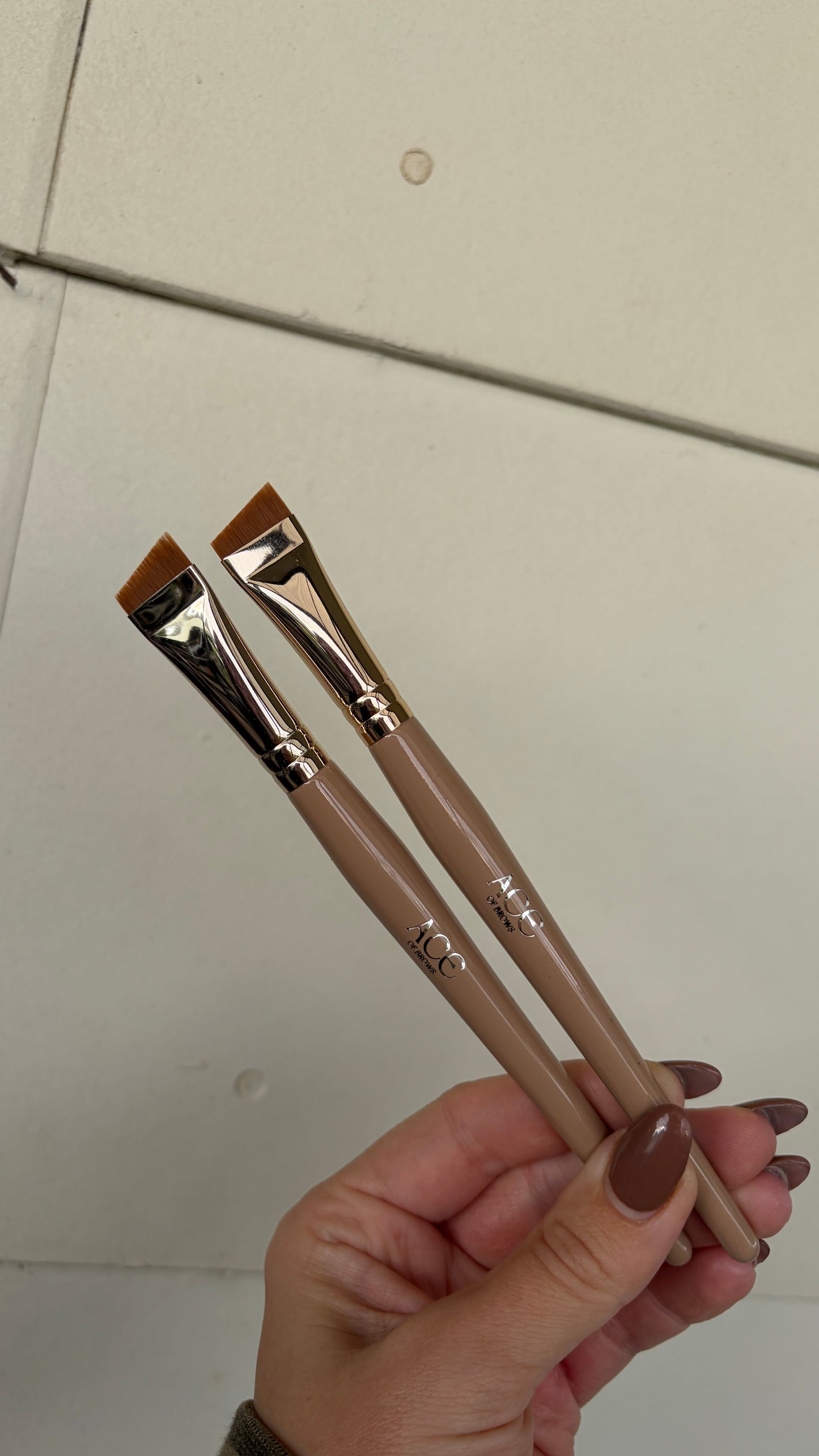 ACE CHOCOLATE MOCHA ANGLED BRUSH