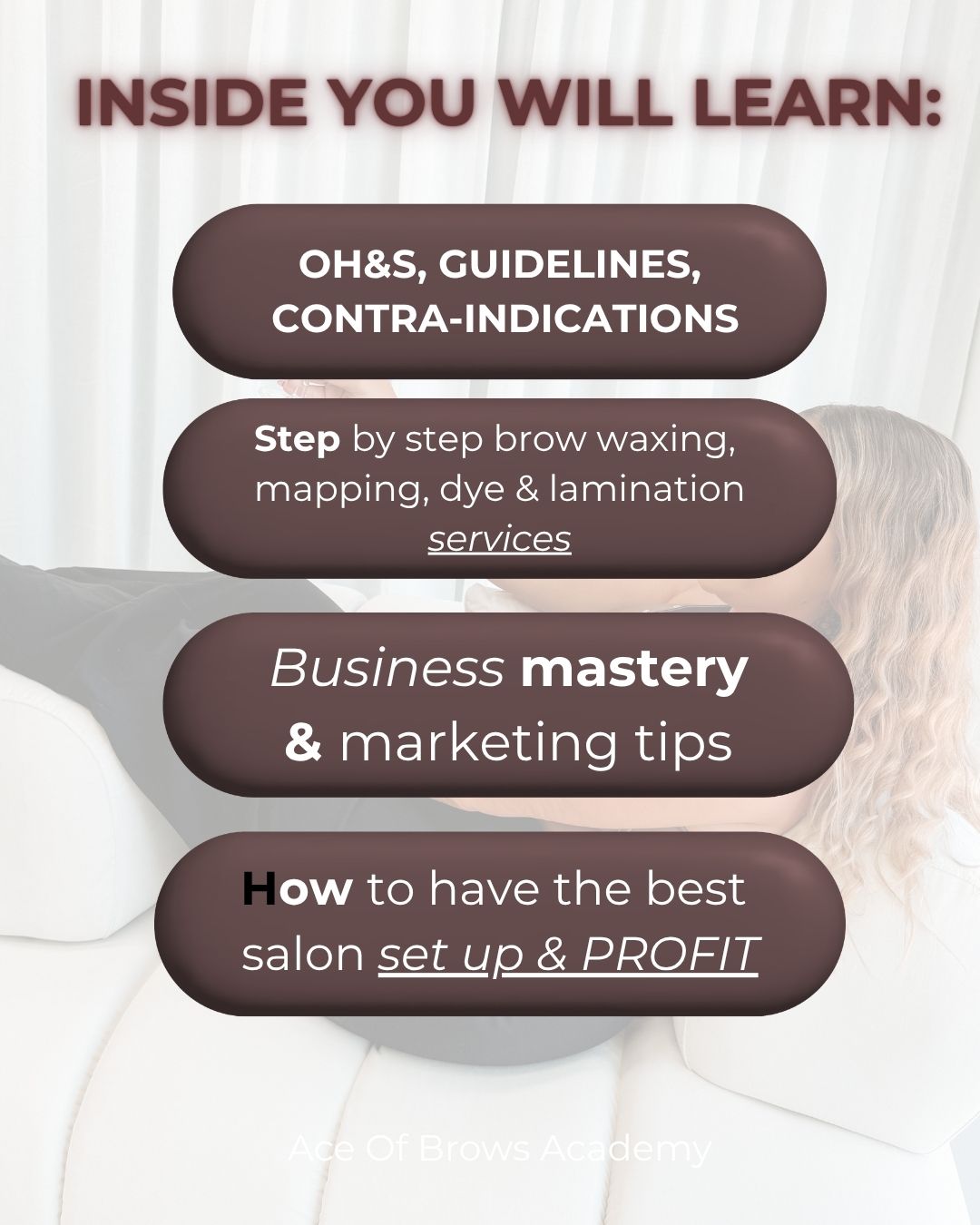 Beginner Online Brow Course