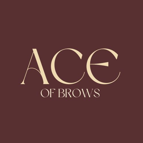 Beginner Online Brow Course
