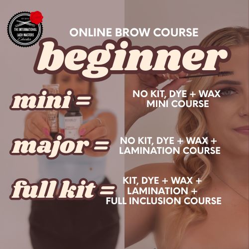 Beginner Online Brow Course (mini)