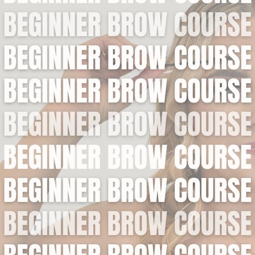 Beginner Online Brow Course